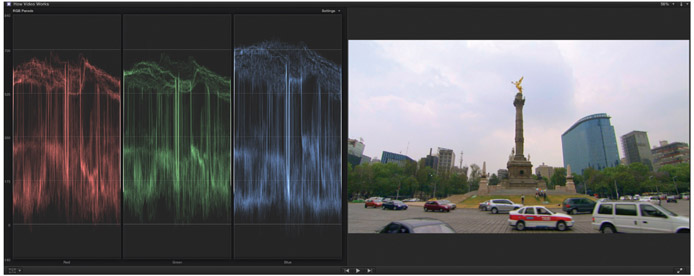 Plate 16 (Figure 9.11b) Video Scene in Parade Mode