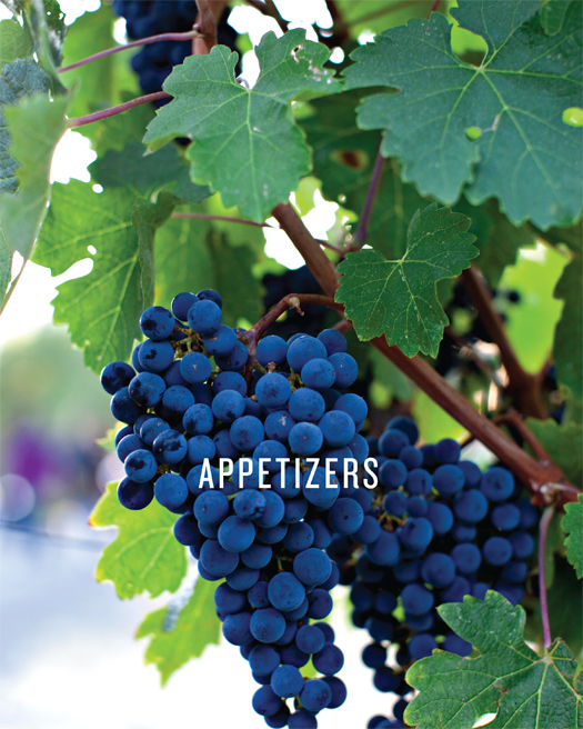 Bunches of bright blue grapes hanging off the branch