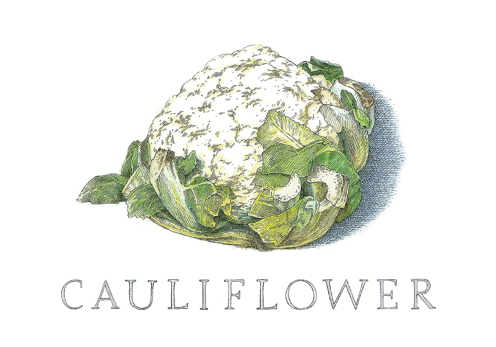 Cauliflower