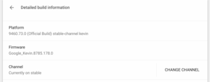 Chrome OS Detailed Build Information Screen