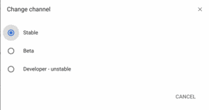 Chrome OS Channel Options