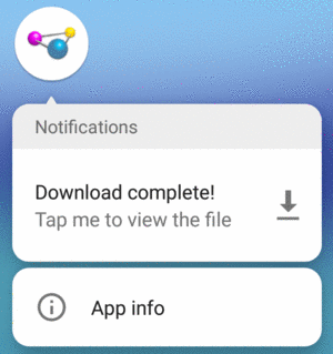 Home Screen Launcher Notification Details, from Pixel