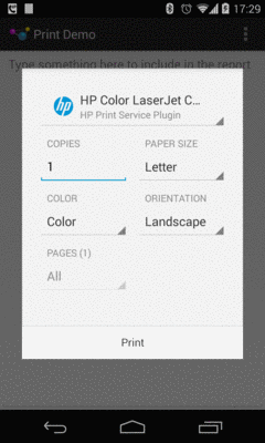 HP Print Configuration Dialog