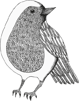 Illustration