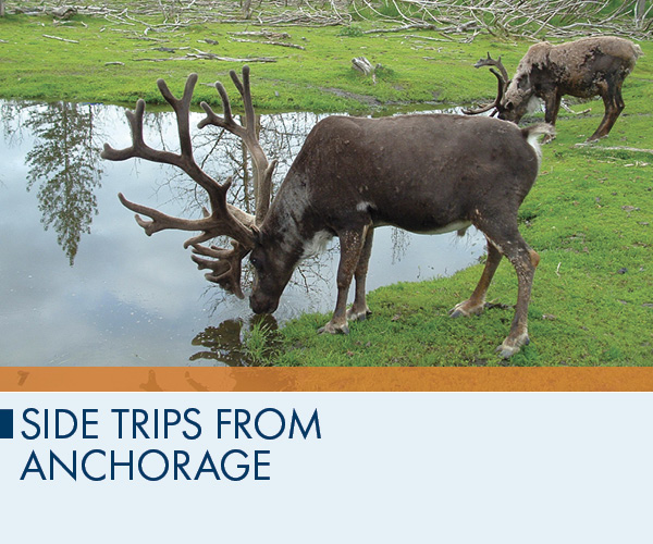 Side Trips from Anchorage