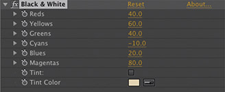 Figure 6.8 The Black & White parameters in the Effects Control panel.