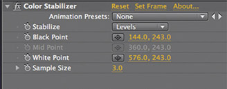 Figure 6.40 The options in the Color Stabilizer effect in the Effect Controls panel.