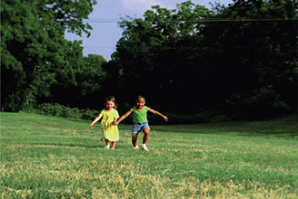 Figure 6.92 The grass looks much more alive once we selectively adjust the yellows and shift their hues a little.