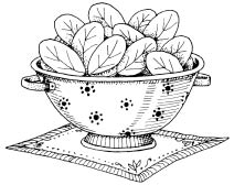 103_SpinachColander.tif