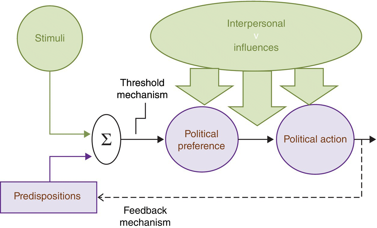 Flow diagram depicting stimuli and predisposition pointing to Ʃ, then to political preference and action (with interpersonal influences) leading back to predispositions via feedback. 