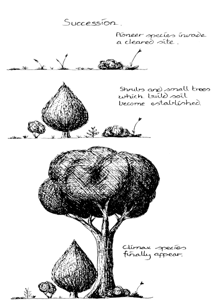 The_Basics_of_Permaculture_c001_f004