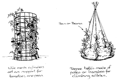 The_Basics_of_Permaculture_c002_f007