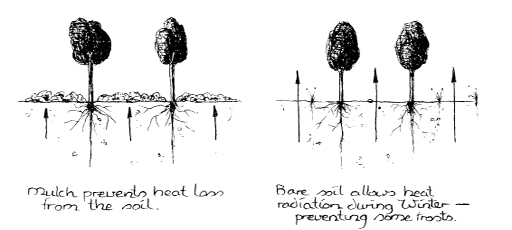 The_Basics_of_Permaculture_c003_f007