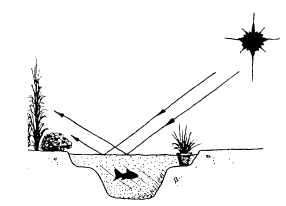 The_Basics_of_Permaculture_c003_f011