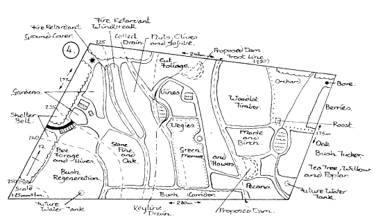 The_Basics_of_Permaculture_c004_f008