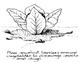 The_Basics_of_Permaculture_c006_f007