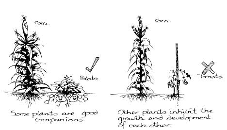 The_Basics_of_Permaculture_c006_f015