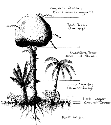 The_Basics_of_Permaculture_c006_f017