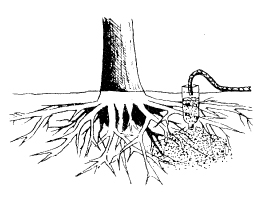 The_Basics_of_Permaculture_c006_f022