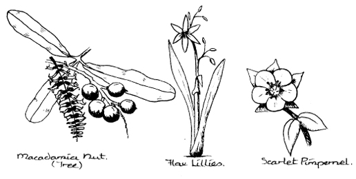 The_Basics_of_Permaculture_c012_f003