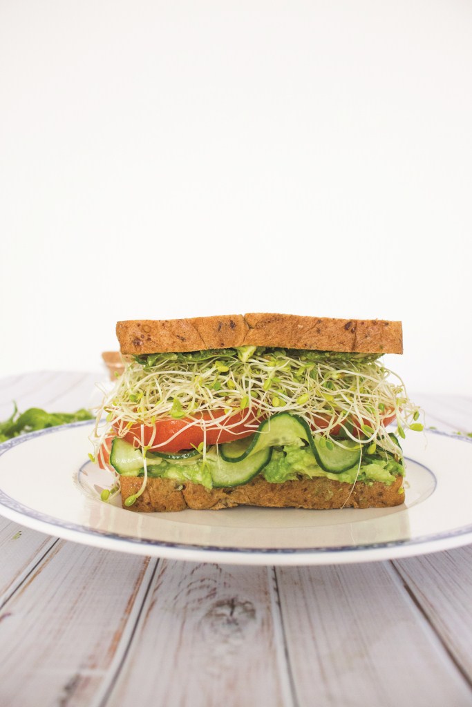 9781440594380 Avocado Sprouts Sandwich