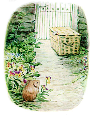 Timmy Willie was a little country mouse who went to town by mistake in a hamper.