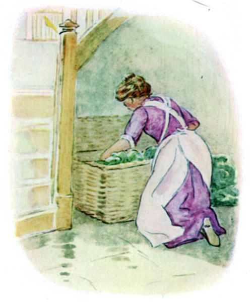 Presently the cook opened the hamper and began to unpack the vegetables.