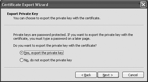 Export wizard options for exporting private keys