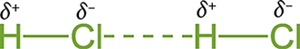 partially negative Cl of one molecule attracted to partially positive H of another
