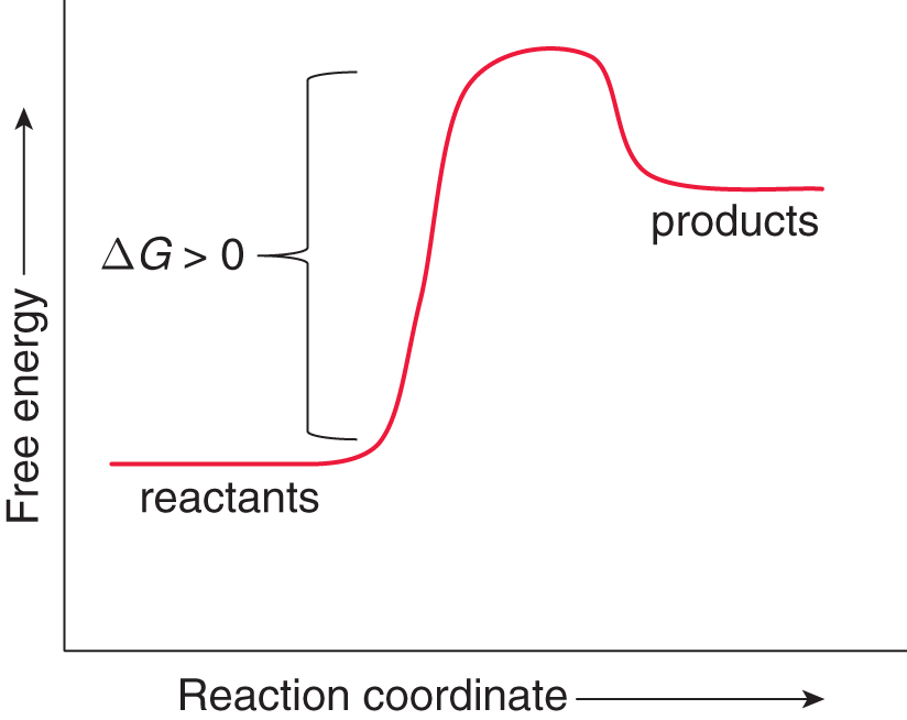 free energy vs. reaction coordinate; reactants are lower than products; positive delta-G labeled