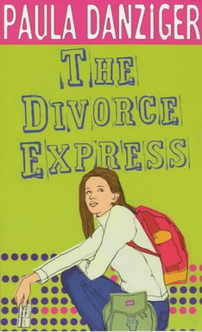 Cover image for The Divorce Express