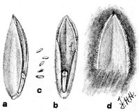 Fig 20.