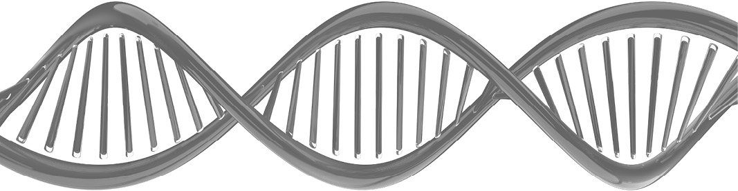 Digital illustration of a DNA model. 3D rendering