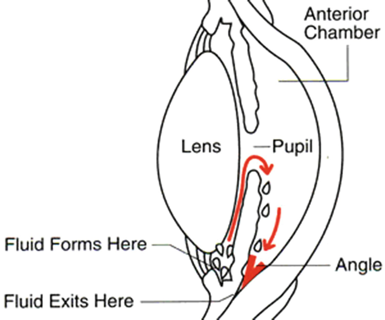 ../images/475466_1_En_5_Chapter/475466_1_En_5_Fig1_HTML.png