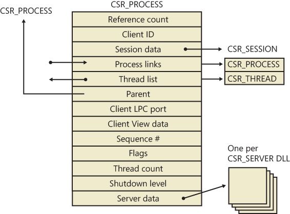 Fields of the CSR process structure