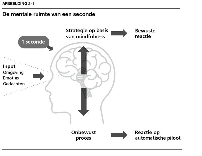 Afbeelding_2-1.pdf