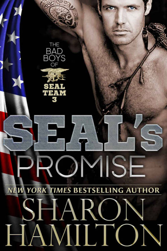 Cover for SEAL’s Promise