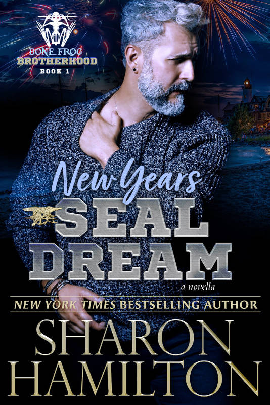 Cover for New Years SEAL Dream