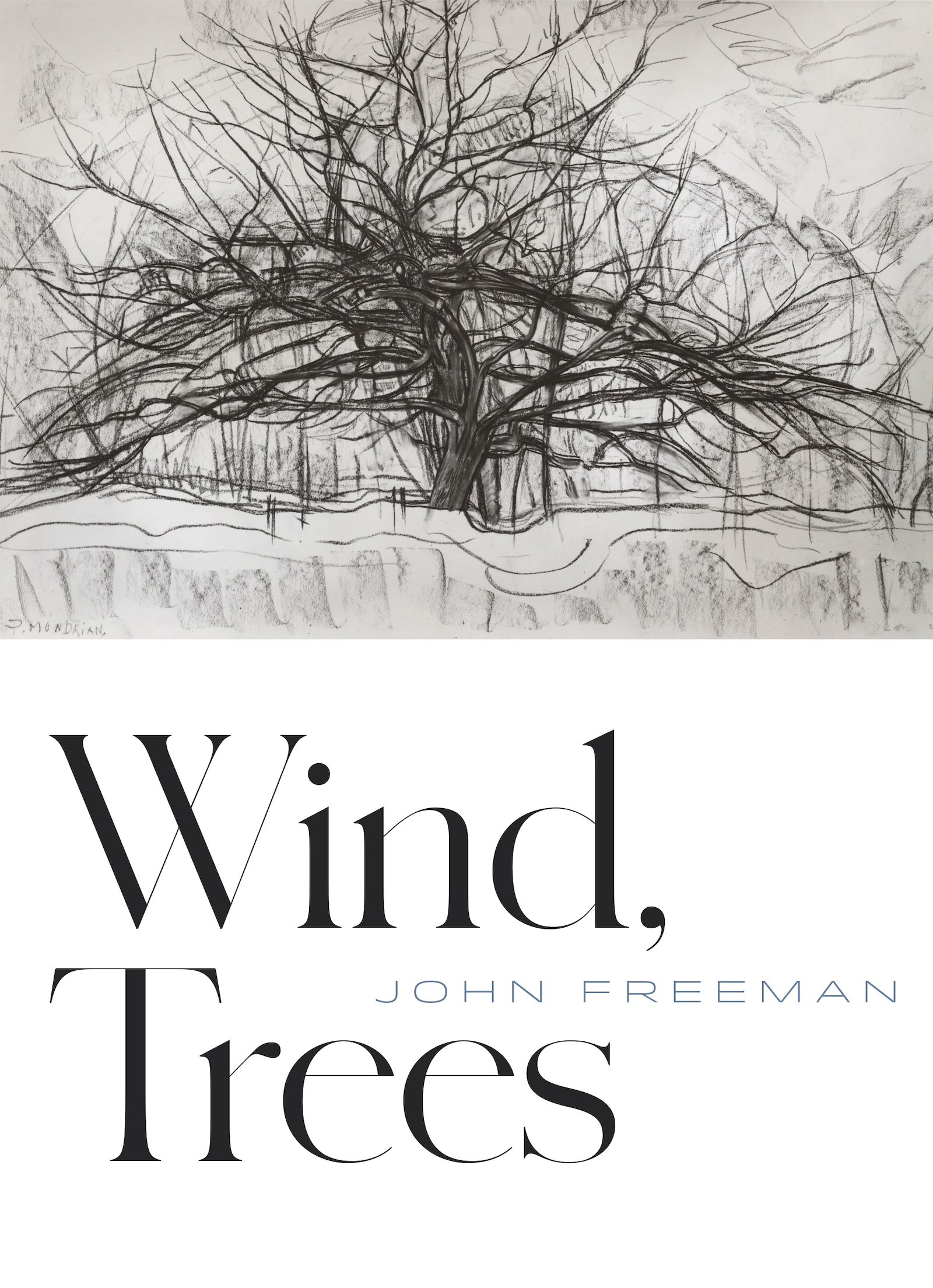 Cover: Wind, Trees by John Freeman