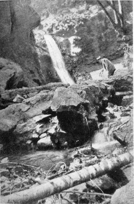 BROOK AND WATERFALL