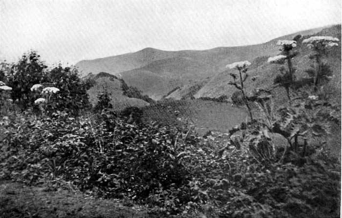 MOUNTAIN AND VALLEY