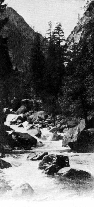 THE BOTTOM OF THE CAÑON