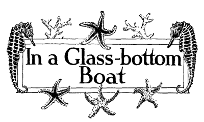 In a Glass-bottom Boat