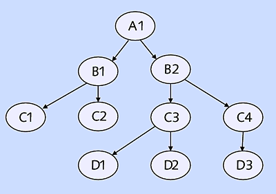 Structure of the HierarchyHierarchystructure