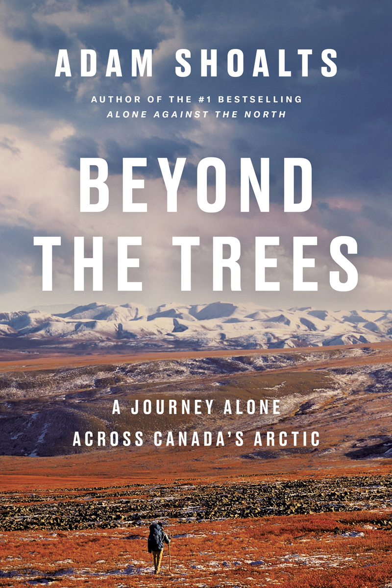 Cover for Beyond the Trees