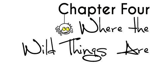 chapter4