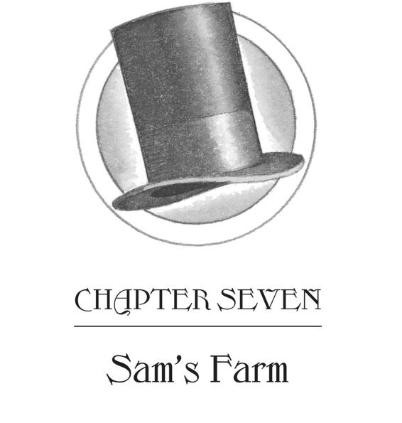 CHAPTER SEVEN Sam’s Farm