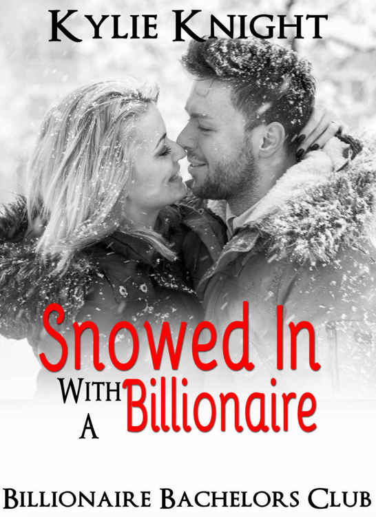 Snowed In With A Billionaire