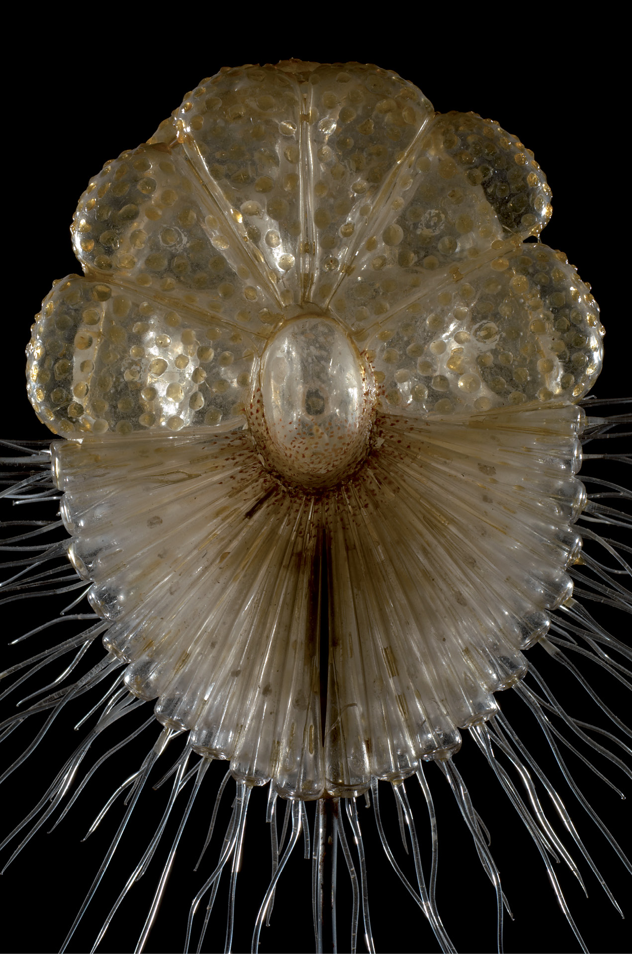 008_EXHIBIT_08.TIF