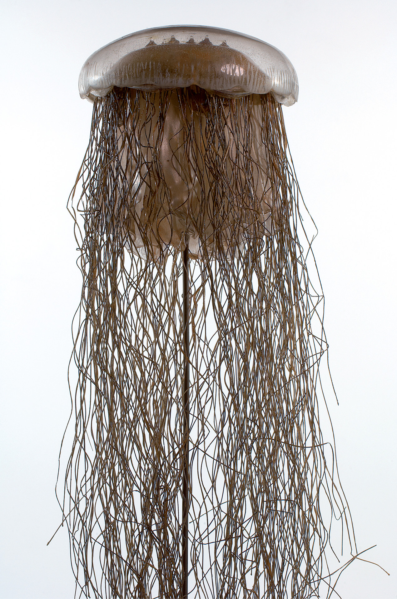 015_EXHIBIT_15.tif